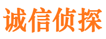 鄂城市私人侦探